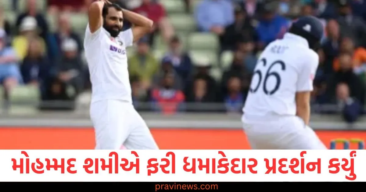 મોહમ્મદ શમીએ ફરી ધમાકેદાર પ્રદર્શન કર્યું, આ ખેલાડીએ પણ બતાવ્યું અદ્ભુત રમત https://www.pravinews.com/business/sensex-tumbles-528-28-points-to-settle-at-77-620-21-nifty-plunges-162-45-points-to-23-526-50-share-market-latest-update-86605