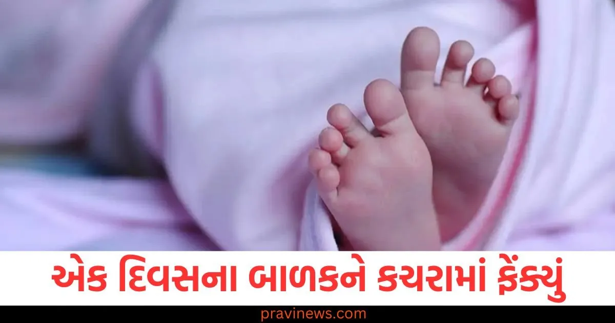એક દિવસના બાળકને કચરામાં ફેંક્યું, માતા 16 વર્ષની સગીર નીકળી https://www.pravinews.com/gujarat-news/gujarat-farmers-made-a-record-under-pm-kisan-yojana-state-came-first-in-the-country-90941