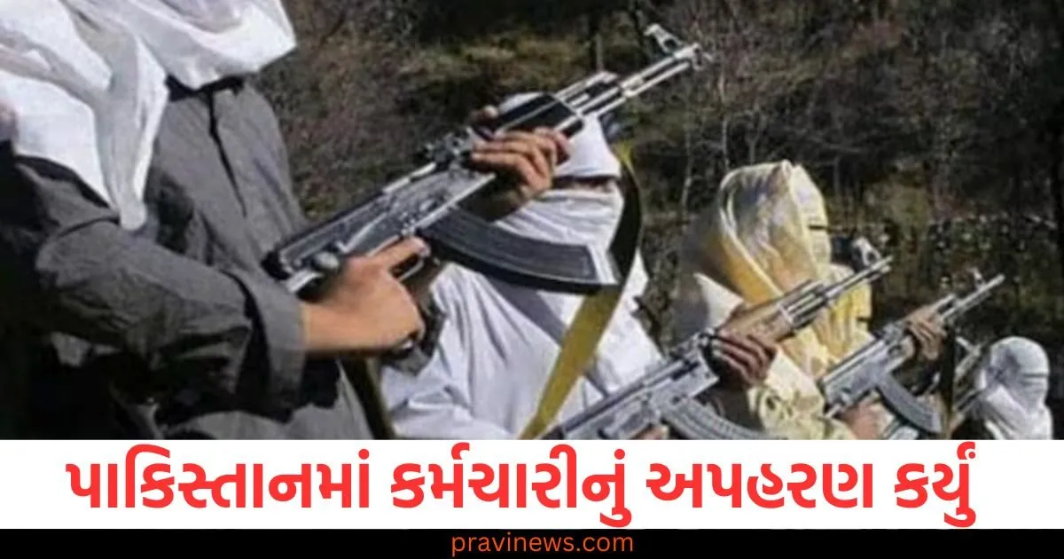 પાકિસ્તાનમાં આતંકવાદીઓએ કર્મચારીનું અપહરણ કર્યું, આતંકવાદીની શોધખોળ શરુ https://www.pravinews.com/food/8-famous-street-foods-to-try-in-winter-season-87054