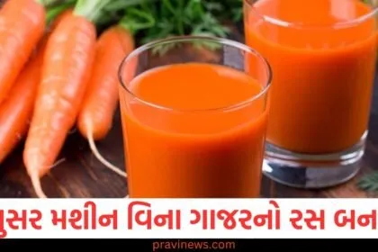 જ્યુસર મશીન, (Juicer machine), ગાજરનો રસ, (Carrot juice), શાકભાજીમાંથી રસ ,(Juicing vegetables), રસ, કાઢવાની યુક્તિઓ ,(Juicing techniques),