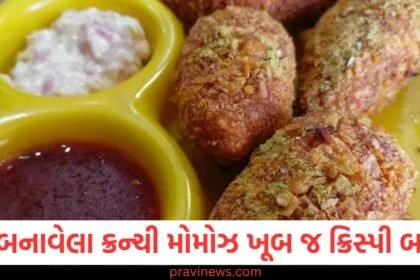 ઘરે બનાવેલા ક્રન્ચી મોમોઝ ખૂબ જ ક્રિસ્પી બનશે, ફક્ત આ ટિપ્સને જરૂર ટ્રાય કરો https://www.pravinews.com/tag/%e0%aa%95%e0%ab%8d%e0%aa%b0%e0%aa%a8%e0%ab%8d%e0%aa%9a%e0%ab%80