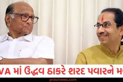 સ્થાનિક ચૂંટણી, MVA મતભેદ, ઉદ્ધવ ઠાકરે, શરદ પવાર મુલાકાત, મંથન,