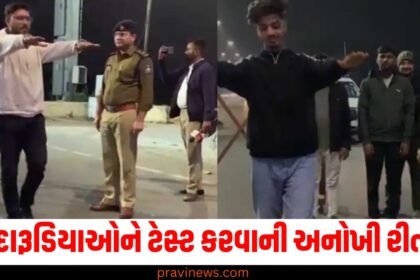 દારૂડિયાઓને ટેસ્ટ કરવાની અનોખી રીત, ગુજરાત પોલીસે નવા વર્ષની રાત્રે આ રીતે કર્યું ચેકિંગ https://www.pravinews.com/tag/%e0%aa%9f%e0%ab%87%e0%aa%b8%e0%ab%8d%e0%aa%9f