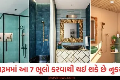 બાથરૂમમાં આ 7 ભૂલો કરવાથી થઈ શકે છે નુકસાન , તો જાણી જોઈને પણ ન કરતા ભૂલો. https://www.pravinews.com/photos