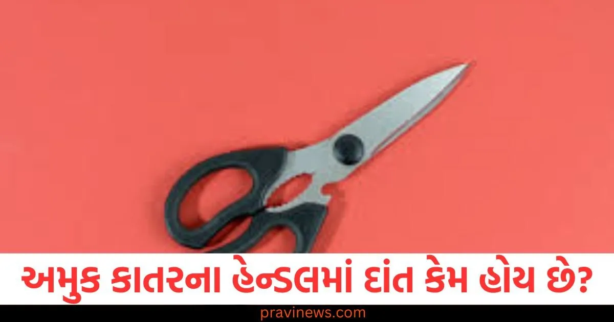 અમુક કાતરના હેન્ડલમાં દાંત કેમ હોય છે? તેનો સાચો ઉપયોગ શું છે તમે જાણો છો? https://www.pravinews.com/ajab-gajab/page/5