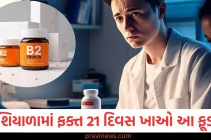 શિયાળામાં ફક્ત 21 દિવસ ખાઓ આ ફૂડ , શરીરમાં વિટામિન B-12 વધશે https://www.pravinews.com/tag/%e0%aa%b6%e0%aa%bf%e0%aa%af%e0%aa%be%e0%aa%b3%e0%aa%be