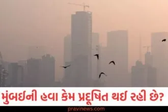 મુંબઈની હવા કેમ પ્રદૂષિત થઈ રહી છે? BMC એ 462 પ્રોજેક્ટ્સને નોટિસ ફટકારી https://www.pravinews.com/assembly-elections-maharashtra/navi-mumbai-district-bjp-president-sandeep-naik-may-leave-the-party-49709