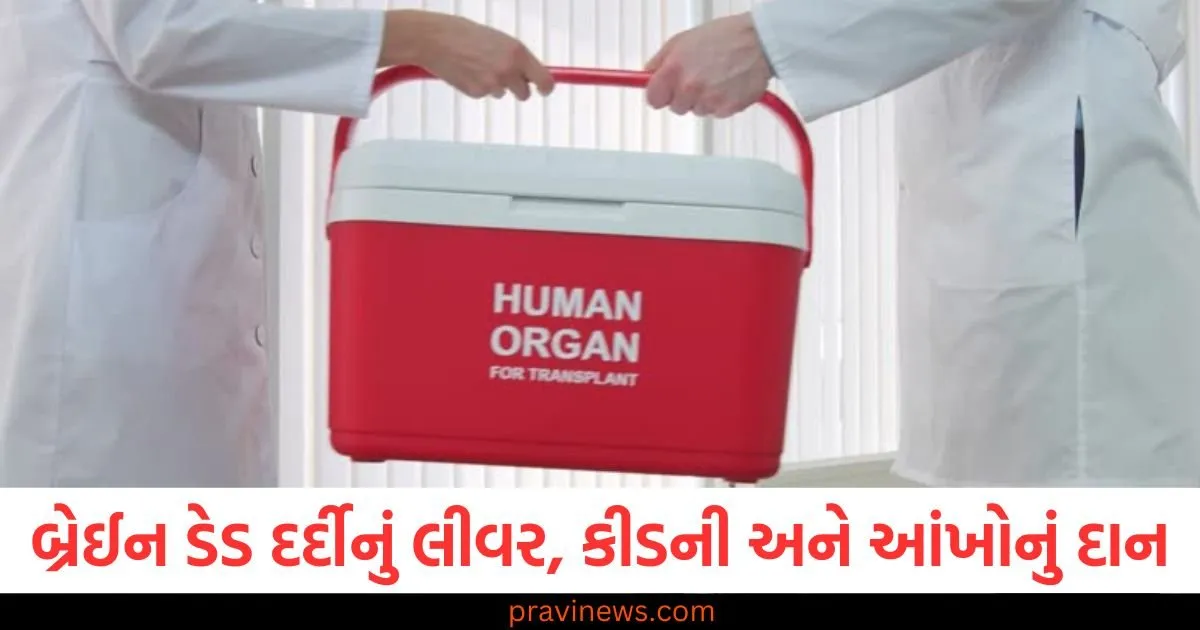 બ્રેઈન ડેડ દર્દીનું લીવર, કીડની અને આંખોનું દાન... 3 લોકોને નવું જીવન મળ્યું https://www.pravinews.com/world-news-in-gujarati/karnal-passenger-train-coach-derail-near-nilokheri-railway-station-109009