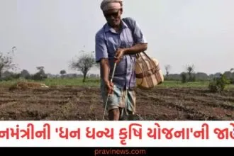 ખેડૂતોએ પ્રધાનમંત્રી ધન ધન્ય કૃષિ યોજનાનો લાભ કેવી રીતે મેળવવો, પ્રધાનમંત્રી ધન ધન્ય કૃષિ યોજના 2025: ખેડૂતો માટે નવી યોજનાની જાહેરાત, પ્રધાનમંત્રી ધન ધન્ય કૃષિ યોજના માટે કયા ખેડૂતોને મળશે લાભ, ખેડૂતો માટે પ્રધાનમંત્રીએ જાહેરાત કરી, ધન ધન્ય કૃષિ યોજનાનો ફાયદો,