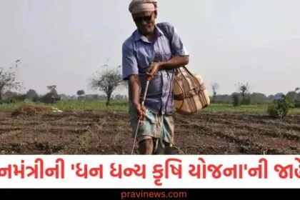 ખેડૂતોએ પ્રધાનમંત્રી ધન ધન્ય કૃષિ યોજનાનો લાભ કેવી રીતે મેળવવો, પ્રધાનમંત્રી ધન ધન્ય કૃષિ યોજના 2025: ખેડૂતો માટે નવી યોજનાની જાહેરાત, પ્રધાનમંત્રી ધન ધન્ય કૃષિ યોજના માટે કયા ખેડૂતોને મળશે લાભ, ખેડૂતો માટે પ્રધાનમંત્રીએ જાહેરાત કરી, ધન ધન્ય કૃષિ યોજનાનો ફાયદો,