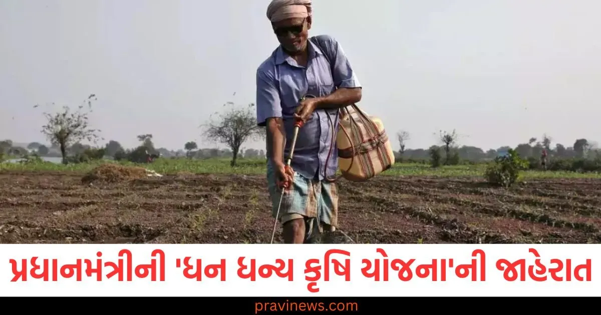 ખેડૂતોએ પ્રધાનમંત્રી ધન ધન્ય કૃષિ યોજનાનો લાભ કેવી રીતે મેળવવો, પ્રધાનમંત્રી ધન ધન્ય કૃષિ યોજના 2025: ખેડૂતો માટે નવી યોજનાની જાહેરાત, પ્રધાનમંત્રી ધન ધન્ય કૃષિ યોજના માટે કયા ખેડૂતોને મળશે લાભ, ખેડૂતો માટે પ્રધાનમંત્રીએ જાહેરાત કરી, ધન ધન્ય કૃષિ યોજનાનો ફાયદો,