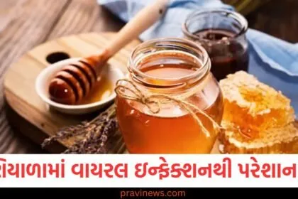 શિયાળામાં વાયરલ ઇન્ફેક્શન, મધનું સેવન શિયાળામાં રાહત, શિયાળામાં વાયરસની ઈન્ફેક્શનથી રિલીફ, મધથી વાયરસ ઇન્ફેક્શનનો ઉપચાર, શિયાળામાં આરોગ્ય માટે મધ,