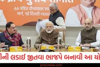 દિલ્હીની ચૂંટણી જીતવા માટે ભાજપની નક્કર યોજના અને NDA સાંસદોને સોંપેલા ટાસ્ક, દિલ્હી ચૂંટણીમાં જીત માટે ભાજપે નક્કી કરેલી યોજના, NDA સાંસદોને શ્રેષ્ઠ જવાબદારી, દિલ્હી ચૂંટણી માટે BJP દ્વારા તૈયાર કરેલી મજબૂત યોજના, NDA સાંસદો પર ભારે જવાબદારી, BJPની દિશા, NDA સાંસદોને મહત્વપૂર્ણ ટાસ્ક, દિલ્હી ચૂંટણીઓ માટે તૈયાર મજબૂત યોજના,