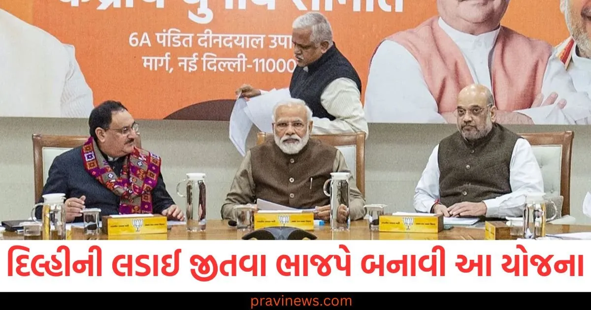 દિલ્હીની ચૂંટણી જીતવા માટે ભાજપની નક્કર યોજના અને NDA સાંસદોને સોંપેલા ટાસ્ક, દિલ્હી ચૂંટણીમાં જીત માટે ભાજપે નક્કી કરેલી યોજના, NDA સાંસદોને શ્રેષ્ઠ જવાબદારી, દિલ્હી ચૂંટણી માટે BJP દ્વારા તૈયાર કરેલી મજબૂત યોજના, NDA સાંસદો પર ભારે જવાબદારી, BJPની દિશા, NDA સાંસદોને મહત્વપૂર્ણ ટાસ્ક, દિલ્હી ચૂંટણીઓ માટે તૈયાર મજબૂત યોજના,