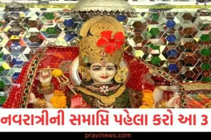 ગુપ્ત નવરાત્રીની સમાપ્તિ પહેલા કરો આ 3 કામ, આખું વર્ષ માતા રાણીના આશીર્વાદ રહેશે https://www.pravinews.com/tag/%e0%aa%97%e0%ab%81%e0%aa%aa%e0%ab%8d%e0%aa%a4