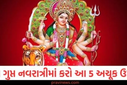 માઘ ગુપ્ત નવરાત્રી દરમિયાન આ પાંચ અચૂક ઉપાય કરો, દરેક સમસ્યા દૂર થશે, માઘ ગુપ્ત નવરાત્રીના દિવસે 5 સચોટ ઉપાય, દરેક પ્રકારની સમસ્યાનો સમાધાન, માઘ ગુપ્ત નવરાત્રીમાં કરો આ પાવરફુલ ઉપાય, જીવનના દરેક સંકટનો નાશ, માઘ ગુપ્ત નવરાત્રીના 5 મંત્ર અને ઉપાય, સમસ્યાઓ માટે સરળ અને સકારાત્મક ઉપાય,