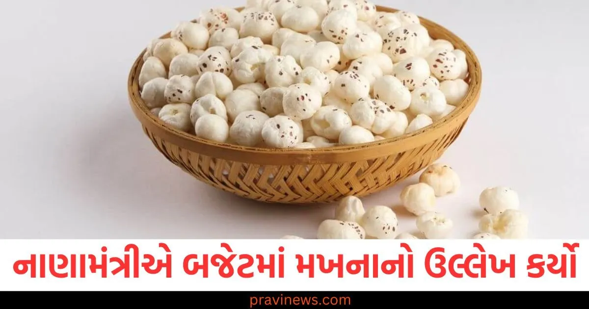 નાણામંત્રીએ બજેટમાં મખનાનો ઉલ્લેખ કર્યો, જાણો તેનું સેવન કરવાથી થતા સ્વાસ્થ્ય લાભો https://www.pravinews.com/business/budget/announcement-of-pradhan-mantri-dhan-dhanya-krishi-yojana-for-farmers-know-who-will-get-the-benefits-98370