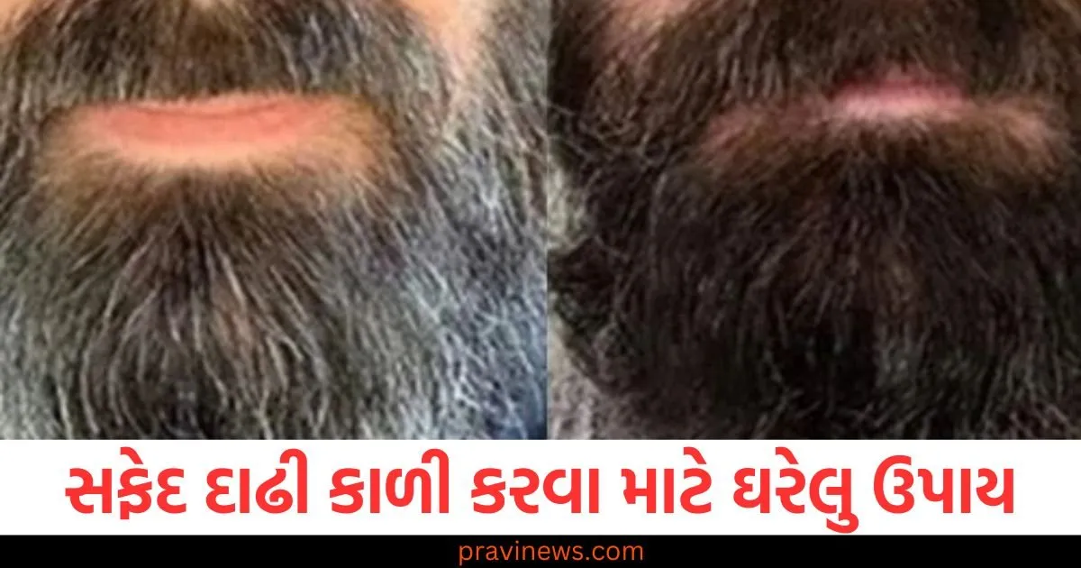 સફેદ દાઢી કાળી કરવા માટે ઘરેલુ ઉપાય, જાણો તેનો ઉપયોગ કેવી રીતે કરવો https://www.pravinews.com/ajab-gajab/5-countries-cities-pay-you-in-lakhs-to-live-98623