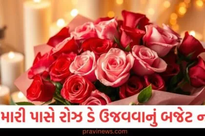 જો તમારી પાસે રોઝ ડે ઉજવવાનું બજેટ નથી, તો તમે તમારા જીવનસાથીને આ સસ્તી ભેટો આપી શકો છો. https://www.pravinews.com/tag/%e0%aa%ac%e0%aa%9c%e0%ab%87%e0%aa%9f
