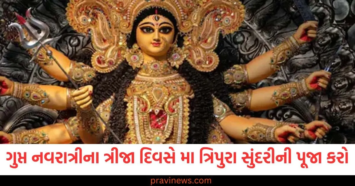 ગુપ્ત નવરાત્રીના ત્રીજા દિવસે માતા ત્રિપુરા સુંદરીની પૂજા કરવામાં આવે છે, જાણો તેની વિધિ અને મહત્વ https://www.pravinews.com/business/budget/finance-minister-sitharaman-holds-the-record-for-the-longest-budget-speech-a-person-completed-the-speech-in-800-words-98411