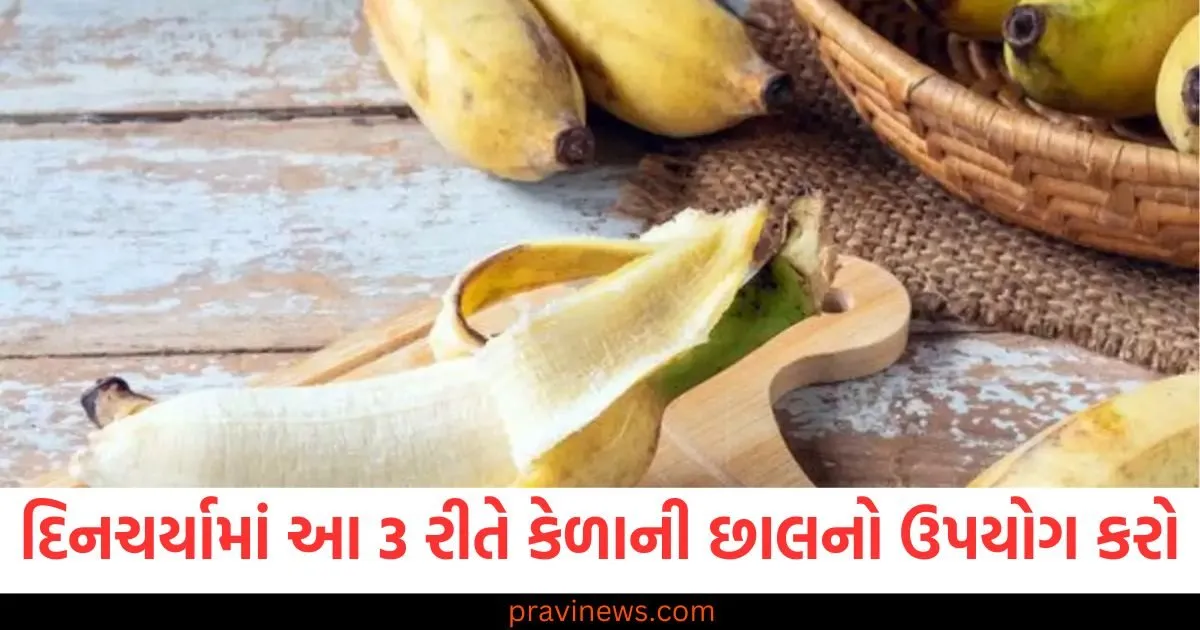 તમારી દિનચર્યામાં આ 3 રીતે કેળાની છાલનો ઉપયોગ કરો, મળશે અદ્ભૂત ફાયદા https://www.pravinews.com/ajab-gajab/5-countries-cities-pay-you-in-lakhs-to-live-98623