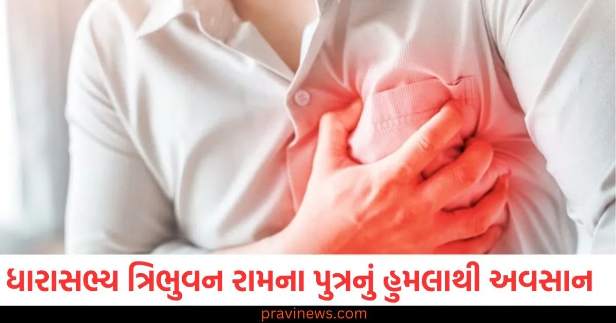 સિંગાપોરમાં ભાજપના ધારાસભ્ય ત્રિભુવન રામના પુત્રનું હૃદયરોગના હુમલાથી અવસાન થયું https://www.pravinews.com/world-news-in-gujarati/action-of-security-forces-in-manipur-arrested-six-members-of-three-banned-outfits-news-103642