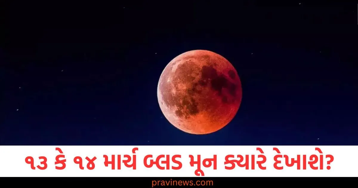 ૧૩ કે ૧૪ માર્ચ બ્લડ મૂન ક્યારે દેખાશે? તમે તેને કેવી રીતે અને ક્યાં જોઈ શકો છો તે જાણો https://www.pravinews.com/business/penny-stock-empower-india-gain-near-10-percent-price-below-2-rs-check-detail-107819