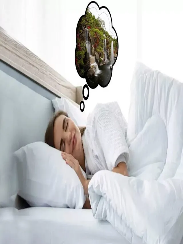 જો તમે સ્વપ્નમાં ભરેલું તળાવ જુઓ તો શું થશે?