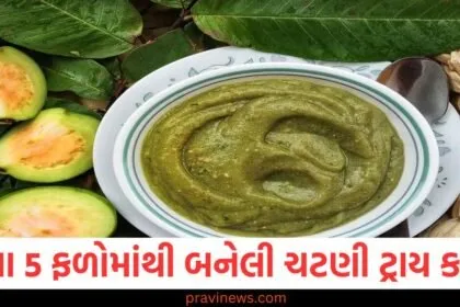કોથમીર અને ફુદીનાની જગ્યાએ આ 5 ફળોમાંથી બનેલી ચટણી ટ્રાય કરો, સ્વાદની સાથે તમારા સ્વાસ્થ્યનું પણ ધ્યાન રાખશે https://www.pravinews.com/tag/%e0%aa%9a%e0%aa%9f%e0%aa%a3%e0%ab%80