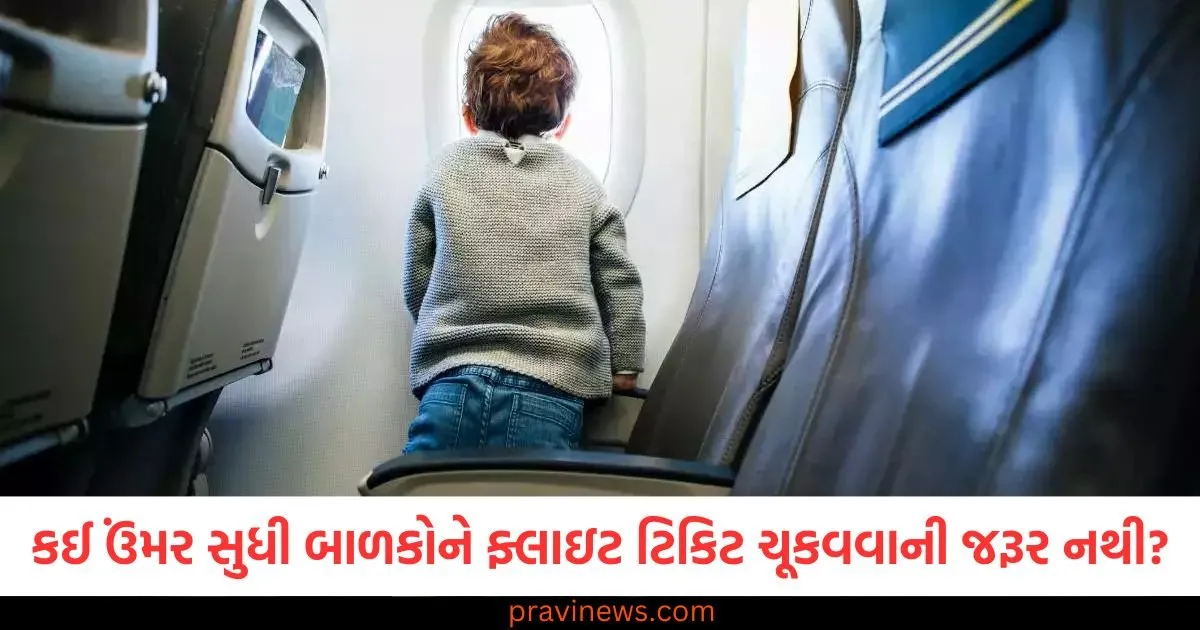 કઈ ઉંમર સુધી બાળકોને ફ્લાઇટ ટિકિટ માટે પૈસા ચૂકવવાની જરૂર નથી? એરલાઇનની નીતિ જાણો https://www.pravinews.com/ajab-gajab/flight-ticket-rules-for-kids-age-limit-free-seat-policy-air-travel-103479