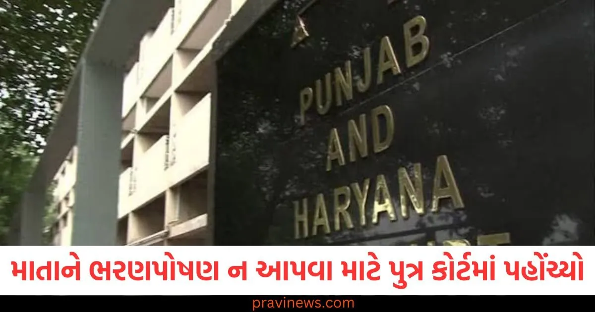 'કળિયુગ ખરેખર આવી ગયો છે...' માતાને ભરણપોષણ ન આપવા માટે પુત્ર કોર્ટમાં પહોંચ્યો https://www.pravinews.com/gujarat-news/rajkot-news/rajkot-apmc-market-price-today-live-updates-27-02-2025-109829