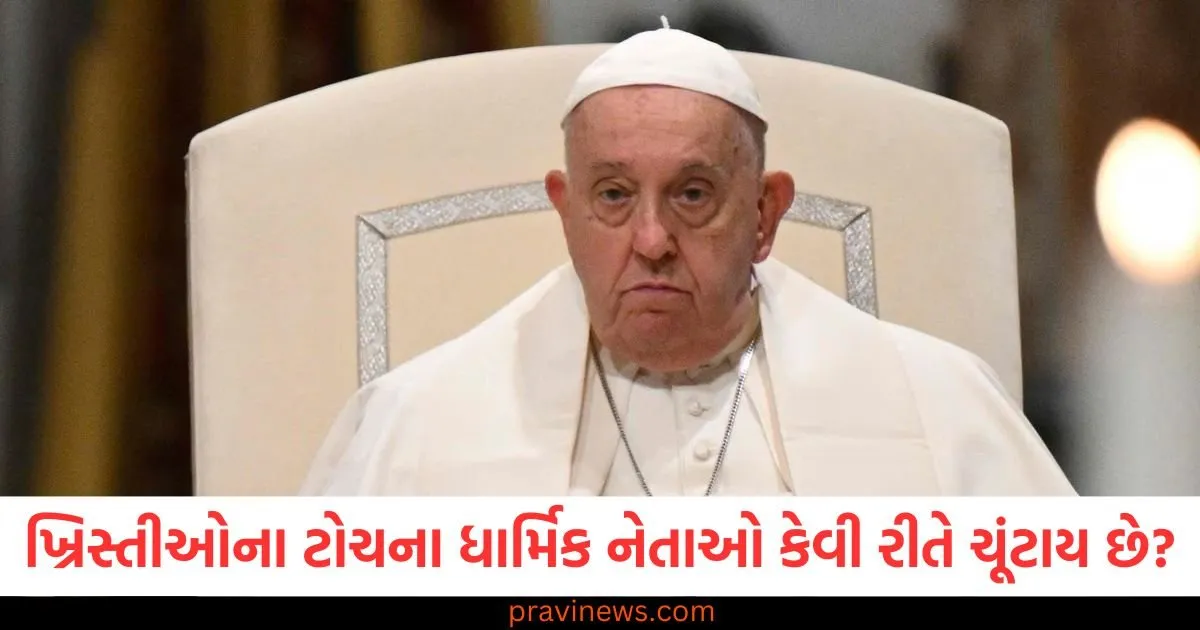 ખ્રિસ્તીઓના ટોચના ધાર્મિક નેતાઓ કેવી રીતે ચૂંટાય છે? પોપની ચૂંટણીમાં બે ભારતીયો પણ મહત્વપૂર્ણ ભૂમિકા ભજવે છે https://www.pravinews.com/international-news/pakistan-crossed-the-limits-of-slavery-to-please-china-shehbaz-sharif-opened-the-first-slaughterhouse-of-donkeys-108673