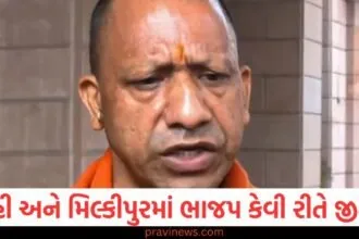 દિલ્હી અને મિલ્કીપુરમાં ભાજપ કેવી રીતે જીત્યું? સીએમ યોગીએ વિજેતાઓને અભિનંદન આપ્યા https://www.pravinews.com/elections/aap-mla-naresh-balyan-mcoca-why-maharashtra-act-in-delhi-68798