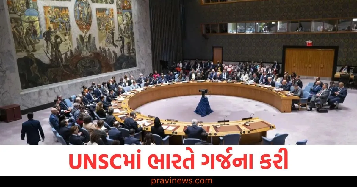 UNSCમાં કાયમી સભ્યપદના મુદ્દા પર ભારતે ગર્જના કરી, નામ લીધા વિના ચીનને ફટકાર્યું https://www.pravinews.com/world-news-in-gujarati/prayagraj-12-jyotirlinga-darshan-mahakumbh-shivalaya-park-attraction-106353