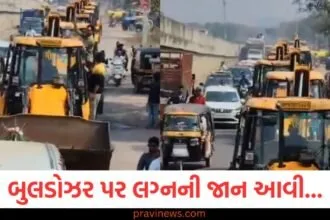 બુલડોઝર પર લગ્નની જાન આવી... એક અનોખા લગ્નનો વીડિયો વાયરલ થયો https://www.pravinews.com/trending/viral-video-shows-fight-in-indigo-flight-passengers-exchange-threat-38513