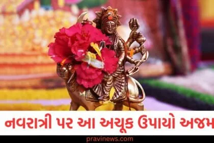 ગુપ્ત નવરાત્રી ઉપાયો અને લાભ, મા દુર્ગા કૃપાથી ધનની વર્ષા, ગુપ્ત નવરાત્રીના અચૂક ઉપાય, ગુપ્ત નવરાત્રી પર ધન લાભ માટે ઉપાય, ગુપ્ત નવરાત્રી અને અર્થિક મંગલ માટે ઉપાય,