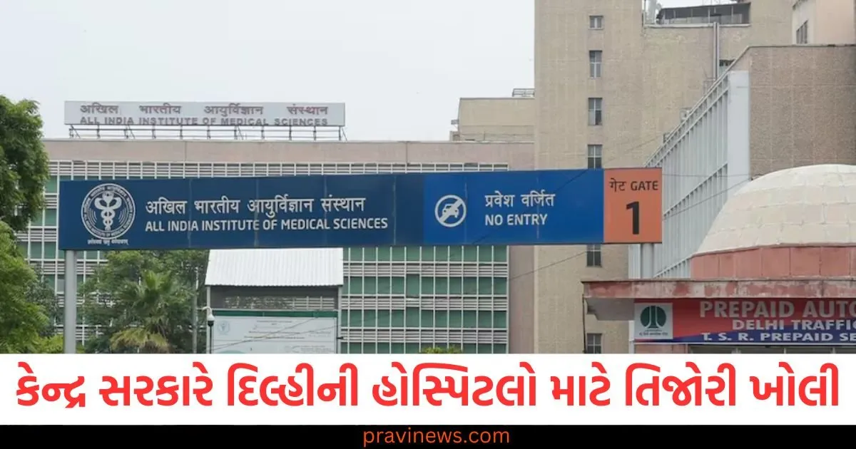 કેન્દ્ર સરકારે દિલ્હીની હોસ્પિટલો માટે તિજોરી ખોલી, AIIMS અને સફદરજંગનું બજેટ વધાર્યું https://www.pravinews.com/world-news-in-gujarati/delhi-police-arrests-two-for-burglary-of-gold-silver-ornaments-worth-rs-30-lakh-99028