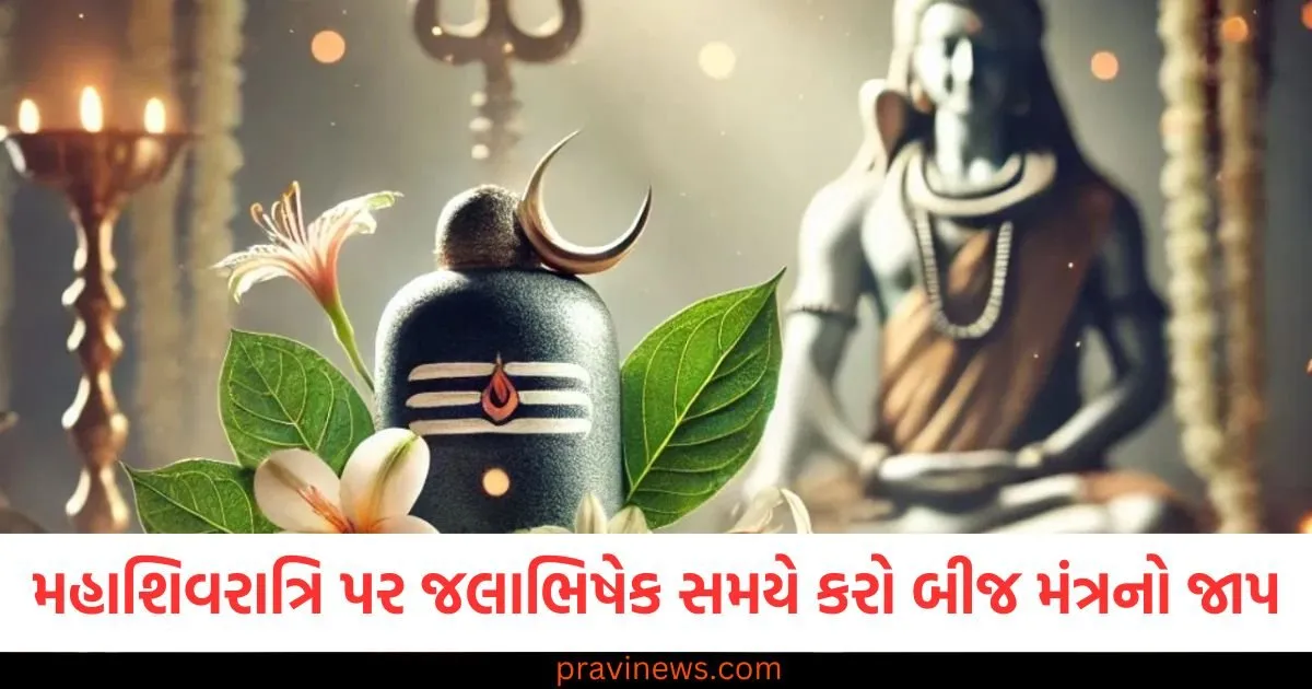 મહાશિવરાત્રિ પર જલાભિષેક સમયે કરો 5 બીજ મંત્રનો જાપ, ભગવાન શિવ દરેક સમસ્યામાંથી અપાવશે મુક્તિ https://www.pravinews.com/religion/astrology/mahashivratri-2025-upaay-do-not-wear-black-clothes-otherwise-lord-shiva-will-get-angry-know-mahashivratri-pe-kis-rang-ke-kapde-pahane-107850