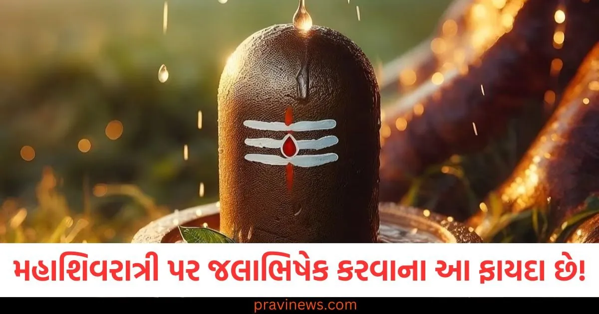 મહાશિવરાત્રી પર જલાભિષેક કરવાના આ ફાયદા છે! જાણો શુભ સમય અને વિધિ https://www.pravinews.com/religion/astrology/falgun-month-2025-date-significance-puja-vidhi-niyam-shubh-muhurt-103305