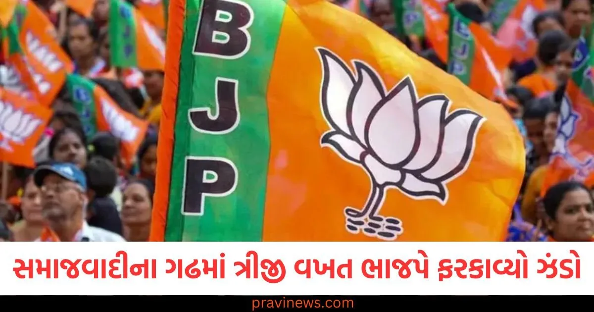 સમાજવાદીઓના ગઢમાં 58 વર્ષમાં ત્રીજી વખત ભાજપે ફરકાવ્યો ઝંડો, વાંચો સંપૂર્ણ ચૂંટણી ઈતિહાસ. https://www.pravinews.com/entertainment/ayushmann-khurrana-tahira-kahsyap-who-suffered-breast-cancer-recall-parents-upset-as-she-posted-hairless-bald-picture-101546