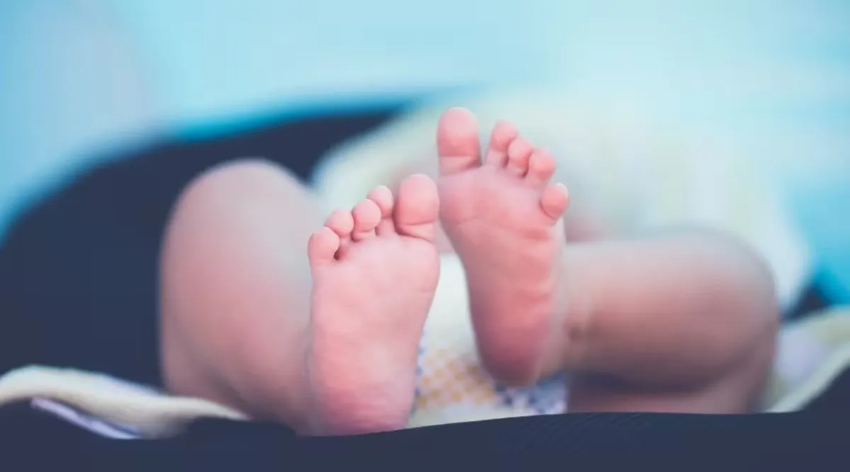 ધોરણ ૧૦ ની વિદ્યાર્થીનીએ હોસ્ટેલમાં બાળકને જન્મ આપ્યો, ઓડિશા પોલીસે કેસની તપાસ શરૂ કરી 2 ધોરણ ૧૦ ની વિદ્યાર્થીનીએ હોસ્ટેલમાં બાળકને જન્મ આપ્યો, ઓડિશા પોલીસે કેસની તપાસ શરૂ કરી https://www.pravinews.com/world-news-in-gujarati/odisha-class-10-student-gives-birth-to-a-child-in-hostel-police-begins-investigation-into-the-case-109141