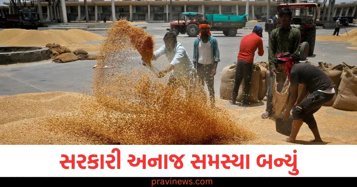 સરકારી અનાજ સમસ્યા બન્યું, મહારાષ્ટ્રમાં લોકોના વાળ ખરવા લાગ્યા? ઘઉંની સપ્લાય પંજાબમાંથી કરવામાં આવી હતી https://www.pravinews.com/world-news-in-gujarati/supreme-court-quashes-rjd-legislator-sunil-kumar-singh-expulsion-from-bihar-legislative-council-108791