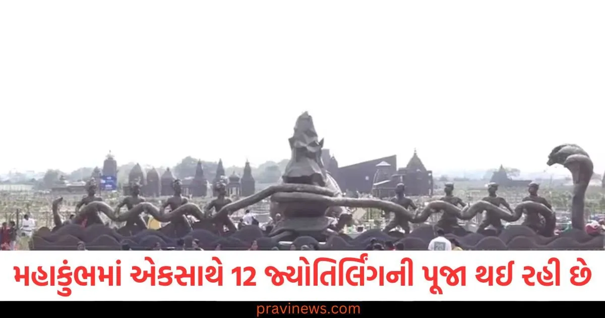 મહાકુંભમાં એકસાથે 12 જ્યોતિર્લિંગની પૂજા થઈ રહી છે, શિવાલય પાર્કમાં લોકો દર્શન માટે લોકોની ઉમટી ભીડ https://www.pravinews.com/world-news-in-gujarati/rekha-gupta-profile-her-name-is-on-top-as-delhi-cm-shalimar-bagh-seat-mla-106359