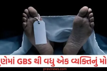 પુણેમાં GBS થી વધુ એક વ્યક્તિનું મોત, 3 નવા કેસ નોંધાયા, 21 દર્દીઓ વેન્ટિલેટર પર https://www.pravinews.com/tag/gbs
