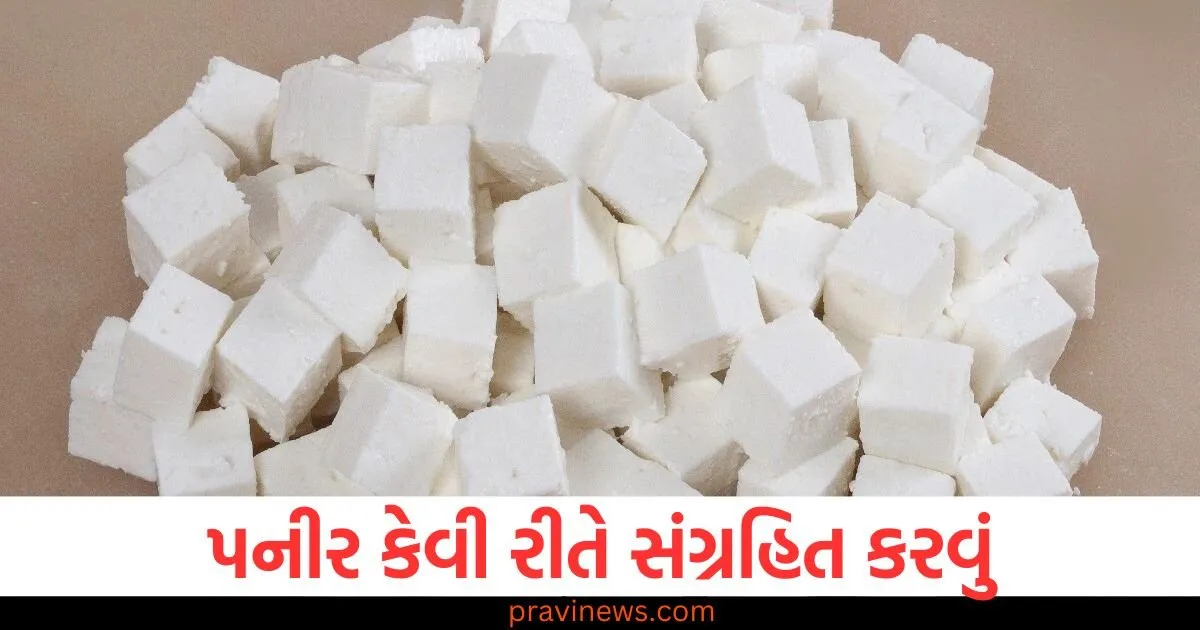 પનીર અઠવાડિયા સુધી તાજું અને સુગંધિત રહેશે, રેફ્રિજરેટર વિના પણ તેને કેવી રીતે સંગ્રહિત કરવું તે જાણો https://www.pravinews.com/world-news-in-gujarati/bride-who-died-of-heart-attack-was-found-alive-24-hours-later-she-had-fled-with-her-friend-106444