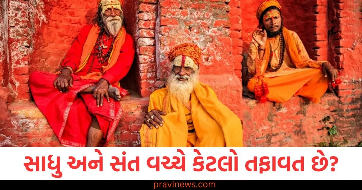 સાધુ અને સંત વચ્ચે કેટલો તફાવત છે? અહીં જાણો વિગતવાર બધુ https://www.pravinews.com/sports/kerala-qualified-for-the-first-time-in-74-years-final-in-ranji-trophy-history-107096