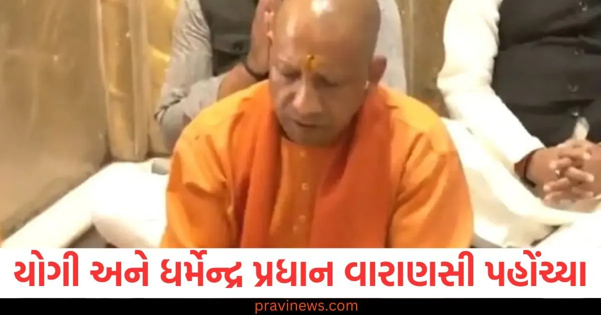 કાશી-તમિલ સંગમ આજથી શરૂ, યોગી અને ધર્મેન્દ્ર પ્રધાન વારાણસી પહોંચ્યા https://www.pravinews.com/gujarat-news/rajkot-news/rajkot-apmc-market-price-today-live-updates-15-02-2025-104649