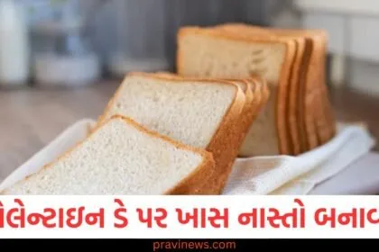 વેલેન્ટાઇન ડે પર ખાસ નાસ્તો બનાવો, બે વાનગીઓની રેસીપી અહીં જુઓ https://www.pravinews.com/tag/%e0%aa%b5%e0%ab%87%e0%aa%b2%e0%ab%87%e0%aa%a8%e0%ab%8d%e0%aa%9f%e0%aa%be%e0%aa%87%e0%aa%a8