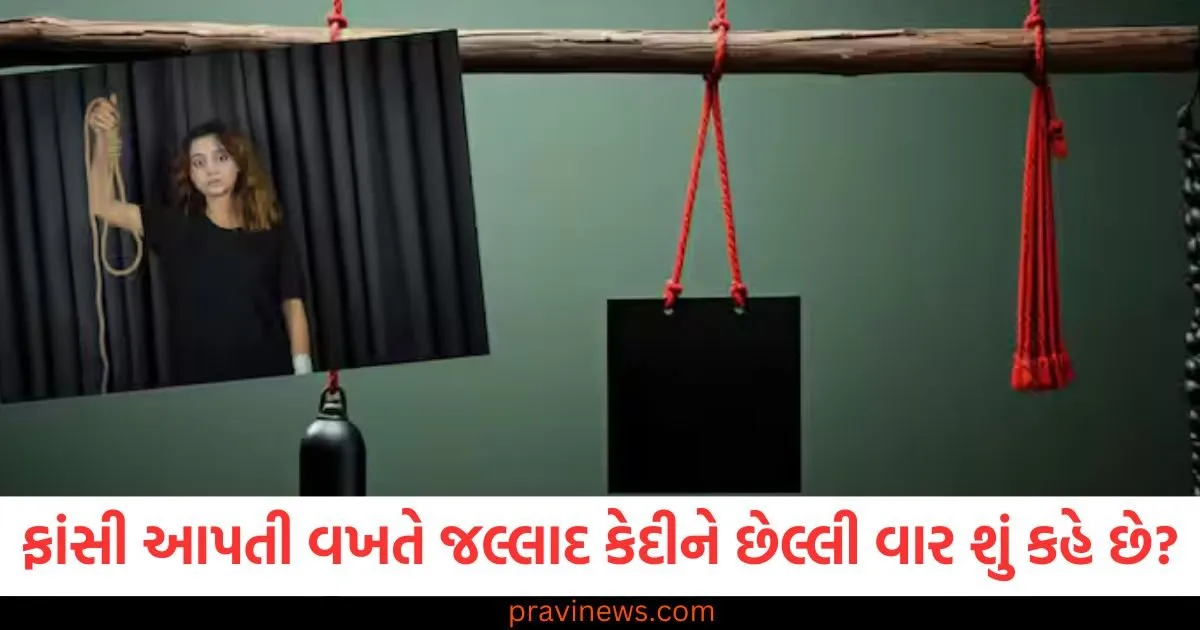 ફાંસી આપતી વખતે જલ્લાદ કેદીને છેલ્લી વાર શું કહે છે?, જલ્લાદ કેદી ફાંસી આપતી વખતે શું કહે છે? જાણો આ વિશેષ વાતો, ફાંસી પર જલ્લાદ કેદીને અંતિમ સમયે શું કહે છે?, જલ્લાદ કેદી ફાંસી આપતી વખતે શું કહે છે? તમે આ જવાબ વાંચી ચોંકી જશો, ફાંસી આપતી વખતે જલ્લાદના શબ્દો, કેદી માટેની છેલ્લી વાતો,