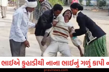 બોરવેલમાં પાણી ઓછું હોવા છતાં કાળા જાદુની શંકા,મોટા ભાઈએ કુહાડીથી નાના ભાઈનું ગળું કાપી નાખ્યું https://www.pravinews.com/tag/%e0%aa%ac%e0%ab%8b%e0%aa%b0%e0%aa%b5%e0%ab%87%e0%aa%b2